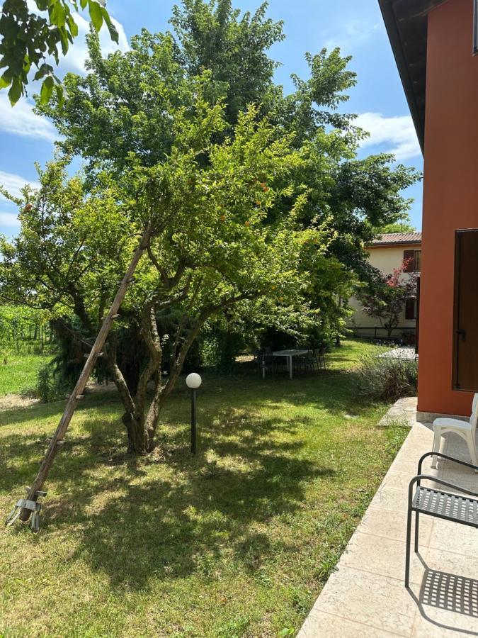 סאן פייטרו אין קריאנו Agriturismo Fioravante מראה חיצוני תמונה