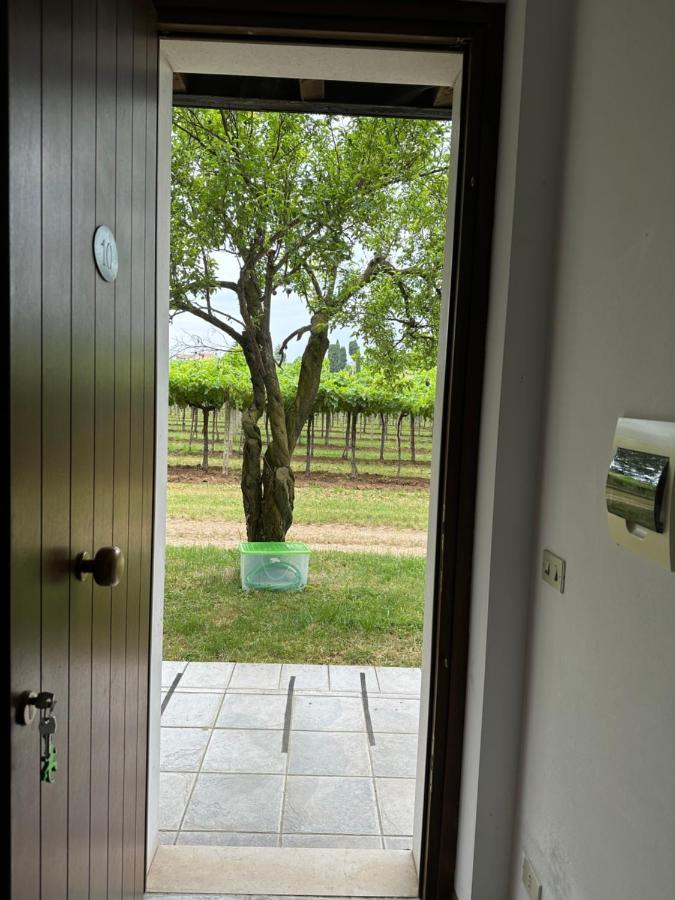 סאן פייטרו אין קריאנו Agriturismo Fioravante מראה חיצוני תמונה