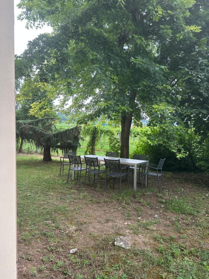 סאן פייטרו אין קריאנו Agriturismo Fioravante מראה חיצוני תמונה