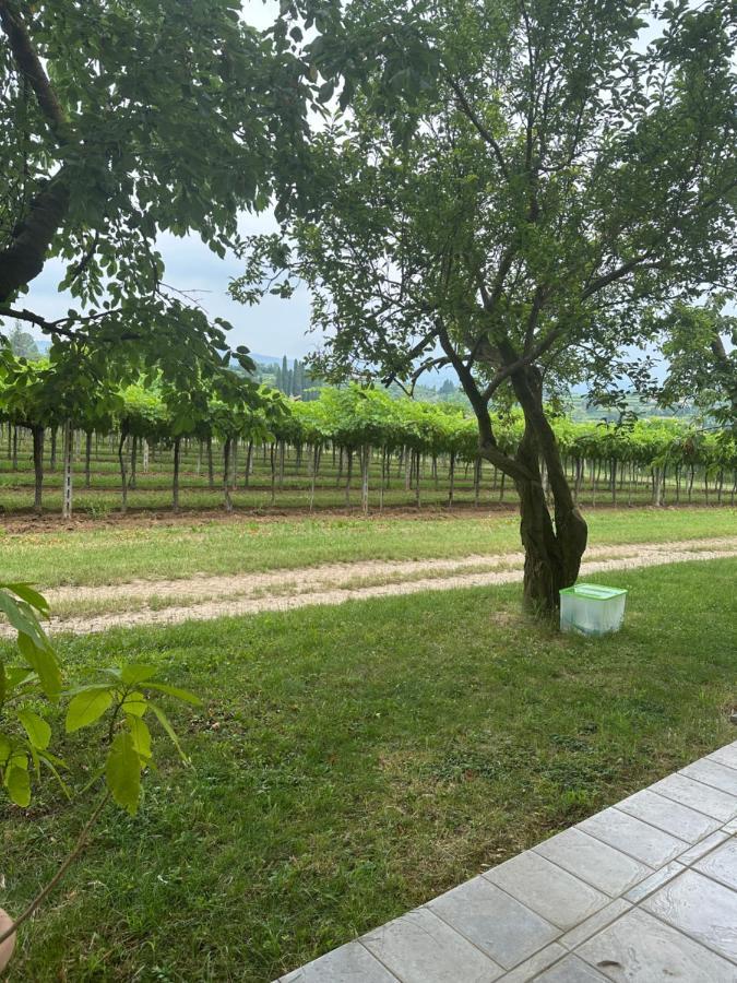 סאן פייטרו אין קריאנו Agriturismo Fioravante מראה חיצוני תמונה